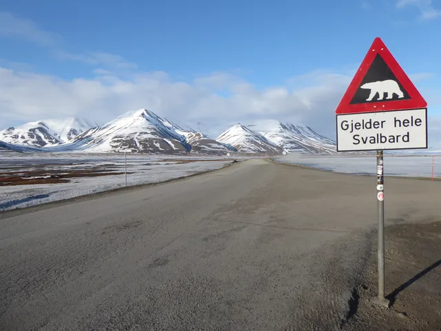 A red triangular polar bear warning sign reading "Gjelder hele Svalbard" beside a gravel road leading towards snow-covered mountains