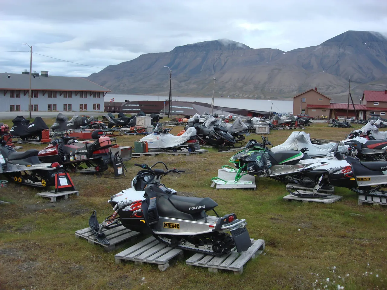 Snowmobiles parked on wooden pallets in a grassy field in summer, with houses and mountains behind